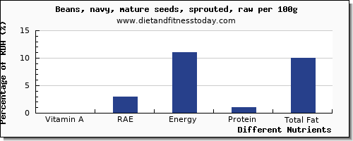 chart to show highest vitamin a, rae in vitamin a in navy beans per 100g